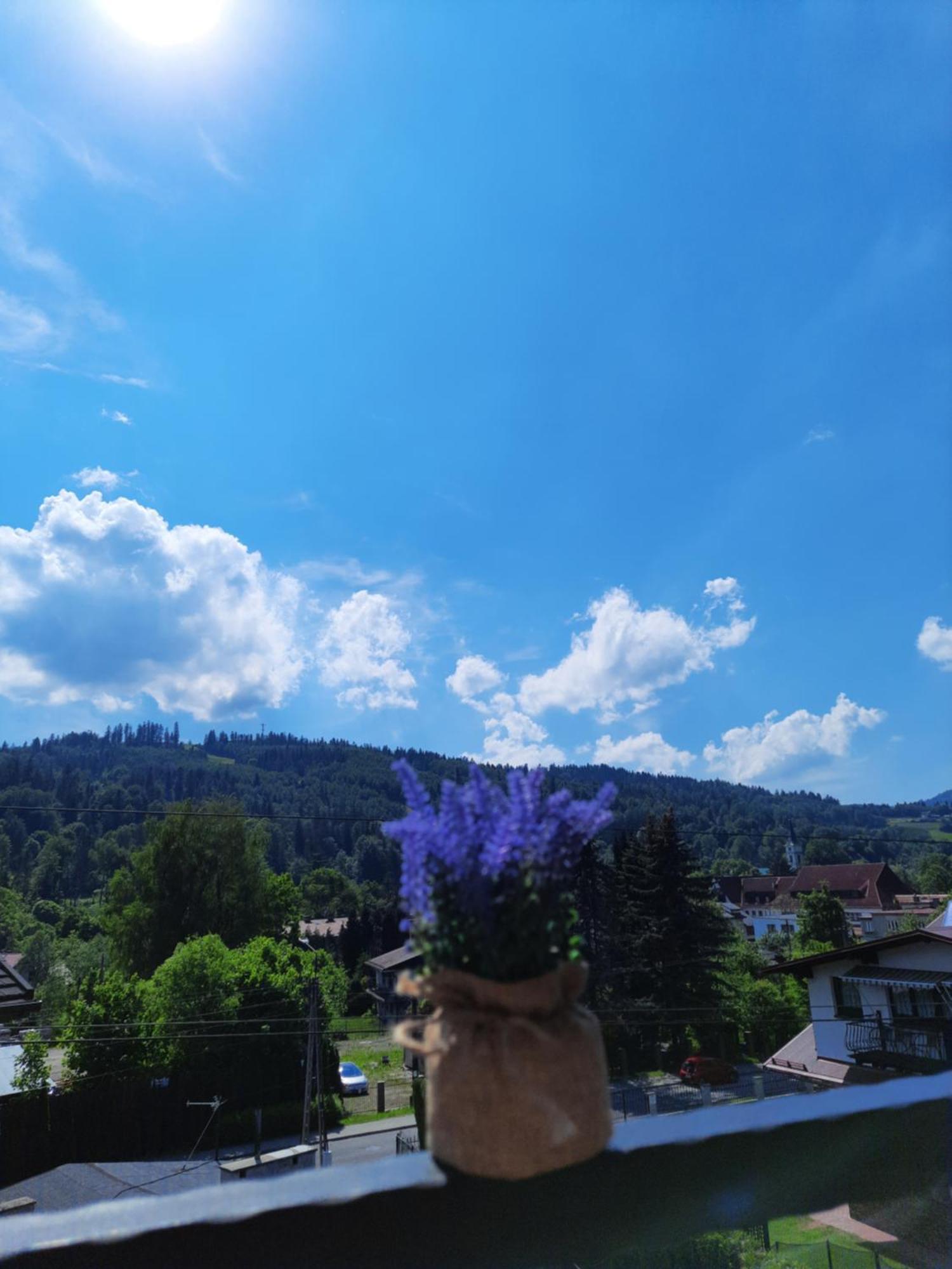 Apartamenty Pokoje Lawenda Wisła Buitenkant foto